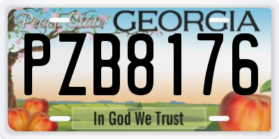 GA license plate PZB8176