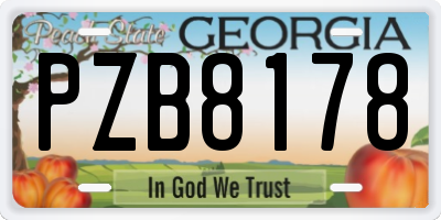 GA license plate PZB8178