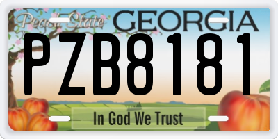 GA license plate PZB8181