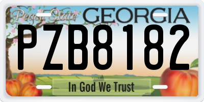 GA license plate PZB8182