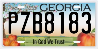 GA license plate PZB8183
