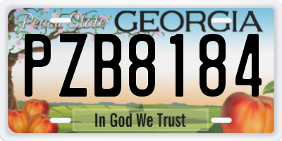 GA license plate PZB8184