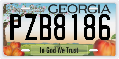 GA license plate PZB8186
