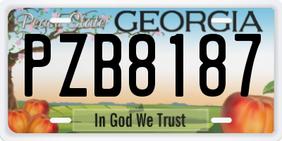 GA license plate PZB8187
