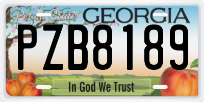 GA license plate PZB8189