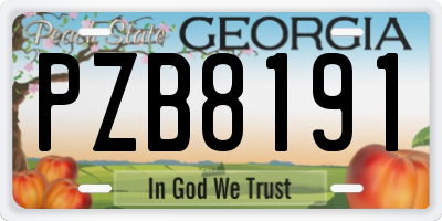 GA license plate PZB8191