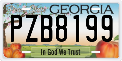 GA license plate PZB8199