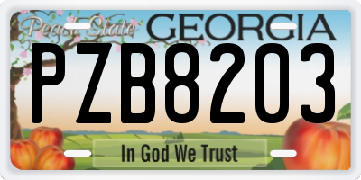 GA license plate PZB8203