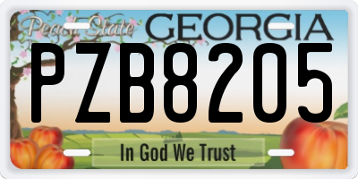 GA license plate PZB8205