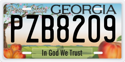GA license plate PZB8209