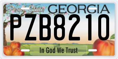 GA license plate PZB8210