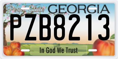 GA license plate PZB8213