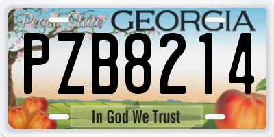 GA license plate PZB8214