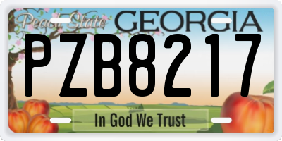 GA license plate PZB8217
