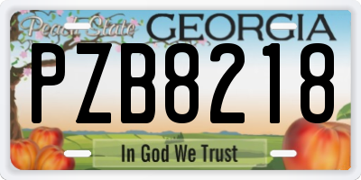 GA license plate PZB8218
