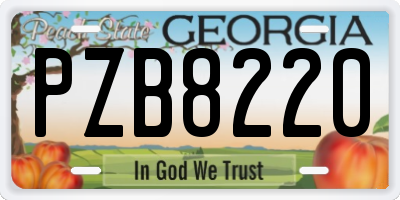 GA license plate PZB8220
