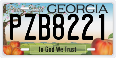 GA license plate PZB8221