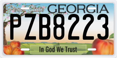 GA license plate PZB8223