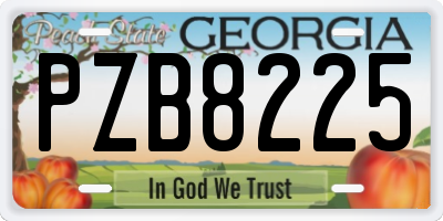GA license plate PZB8225