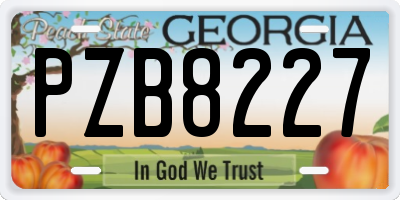 GA license plate PZB8227