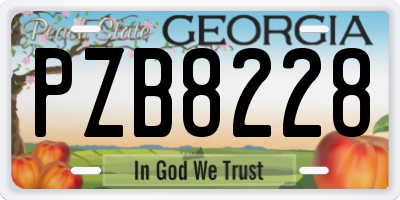 GA license plate PZB8228