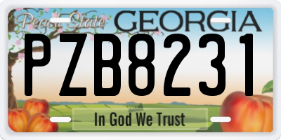 GA license plate PZB8231