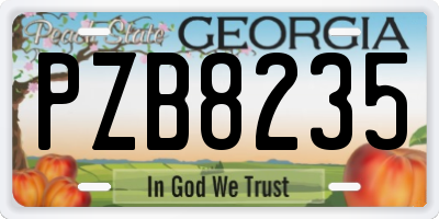 GA license plate PZB8235