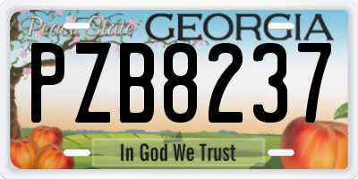 GA license plate PZB8237