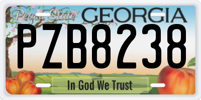 GA license plate PZB8238