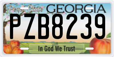 GA license plate PZB8239