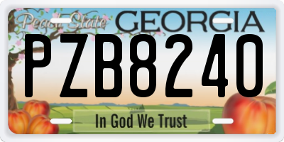 GA license plate PZB8240