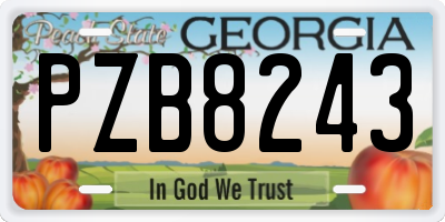 GA license plate PZB8243