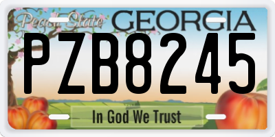 GA license plate PZB8245