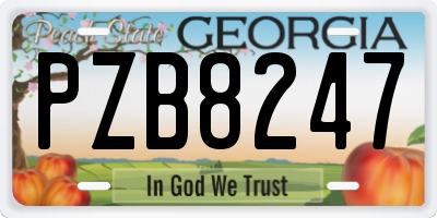 GA license plate PZB8247