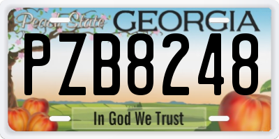 GA license plate PZB8248