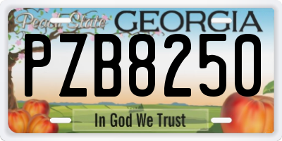 GA license plate PZB8250