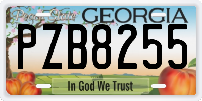 GA license plate PZB8255