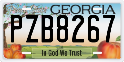 GA license plate PZB8267