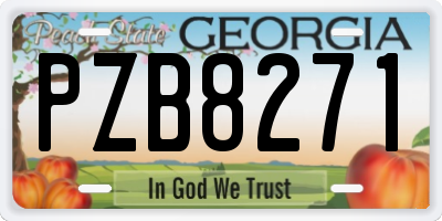 GA license plate PZB8271