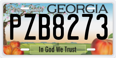 GA license plate PZB8273
