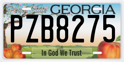 GA license plate PZB8275