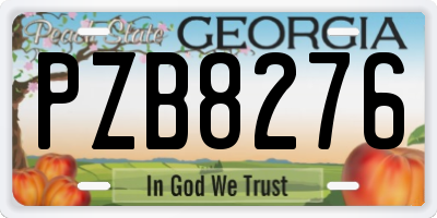 GA license plate PZB8276