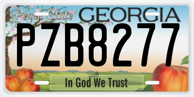 GA license plate PZB8277