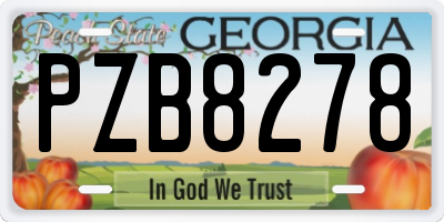 GA license plate PZB8278