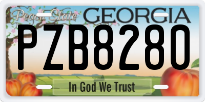 GA license plate PZB8280