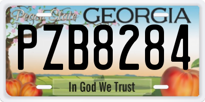 GA license plate PZB8284