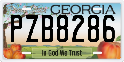 GA license plate PZB8286