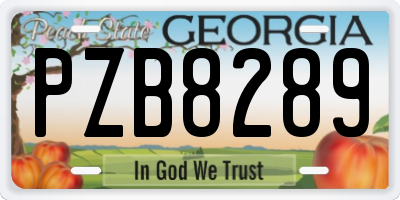 GA license plate PZB8289