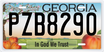 GA license plate PZB8290