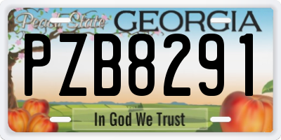 GA license plate PZB8291